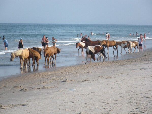 Plage