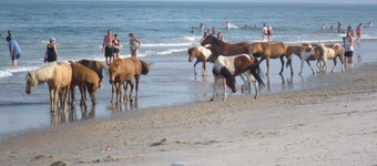 Magnifique maison en OC: piscines, kayak, jetée de pêche, à 5 minutes de la plage et de la promenade, golf