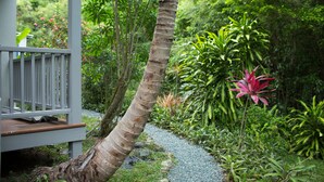 Une terrasse en bois avec un chemin de pierre qui traverse un jardin luxuriant, où l’on trouve diverses plantes et une fleur rose particulièrement voyante.