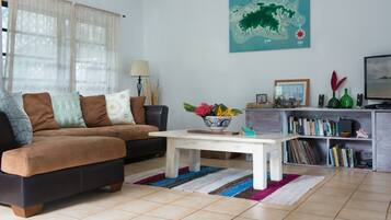 TV, video games, DVD player, books