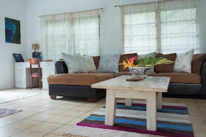 TV, video games, DVD player, books