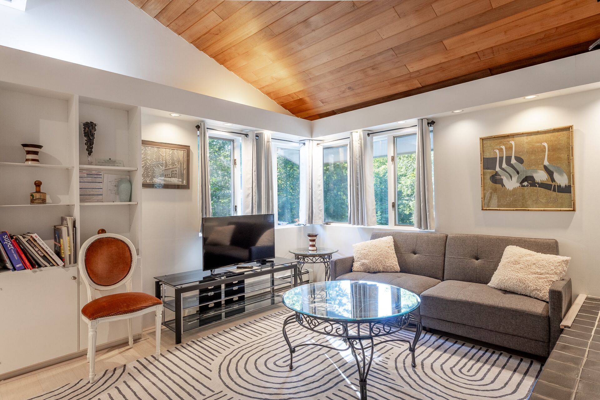 Smart TV, fireplace, DVD player, books