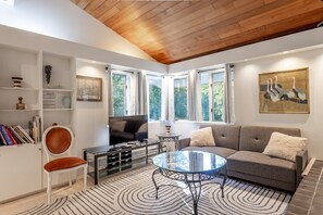 Smart TV, fireplace, DVD player, books