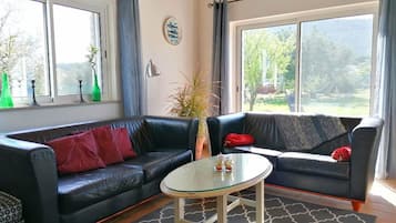 TV connectée, cheminée, lecteur de DVD, livres