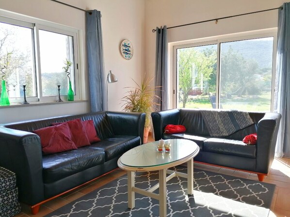 Smart TV, fireplace, DVD player, books