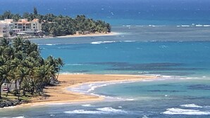A coastal view with a beach, palm trees, and ocean waves. - OCEAN VIEW GORGEOUS 1 BEDROOM CONDO APT A MILLION DOLLAR VIEW.5stars☀️BEST APT (Luquillo)