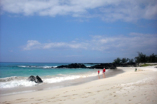 Beach nearby, sun loungers, beach towels