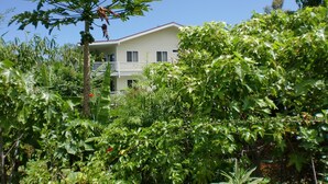 A two-story building with a balcony, surrounded by dense greenery. - Wir sprechen Deutsch. Lovely studio with kitchenette, spacious lanai,TV and WiFi (Kailua Kona)