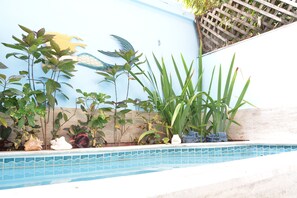 A heated pool - 12 steps to Beach, Private pool, Best location, Tank and Plant, WF high. 6 max.
 (San Juan)