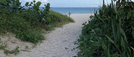 On the beach, sun loungers, beach towels