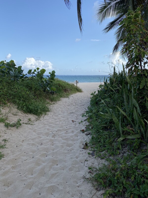 On the beach, sun loungers, beach towels - 12 steps to Beach, Private pool, Best location, Tank and Plant, WF high. 6 max.
(San Juan)