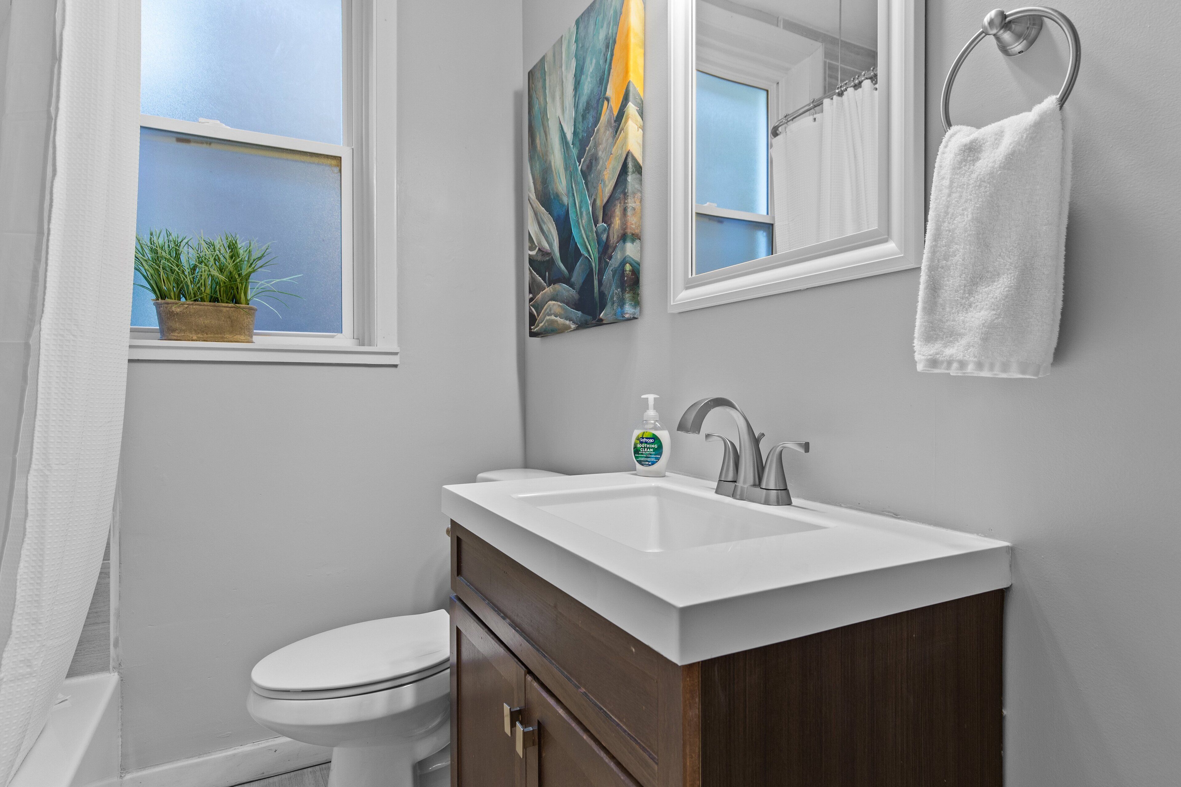 A bathroom with a white sink, a mirror, a towel ring, and a window with a plant.