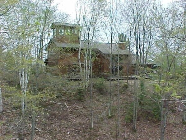 A rustic stone building with a chimney, surrounded by trees and overgrown vegetation.