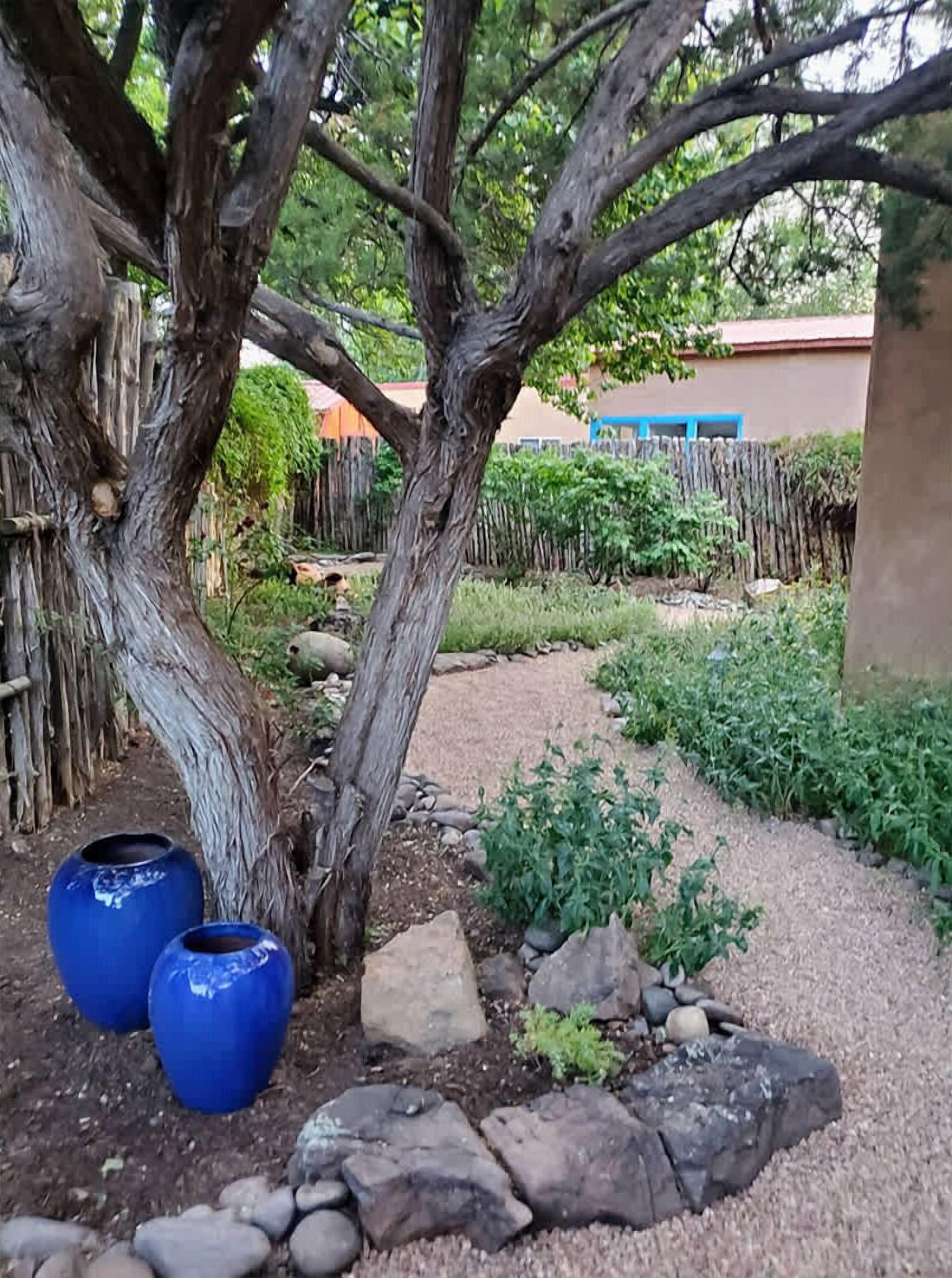 A garden with a large tree, rocks, and a fence.