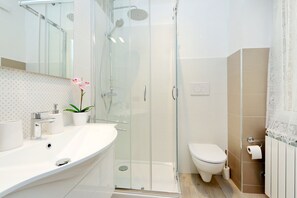 Shower, hair dryer, bidet, towels