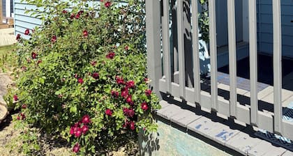 Lakeview Bungalow with easy walk to Village Fun, Eats, Wine, Craft Beer & Marina