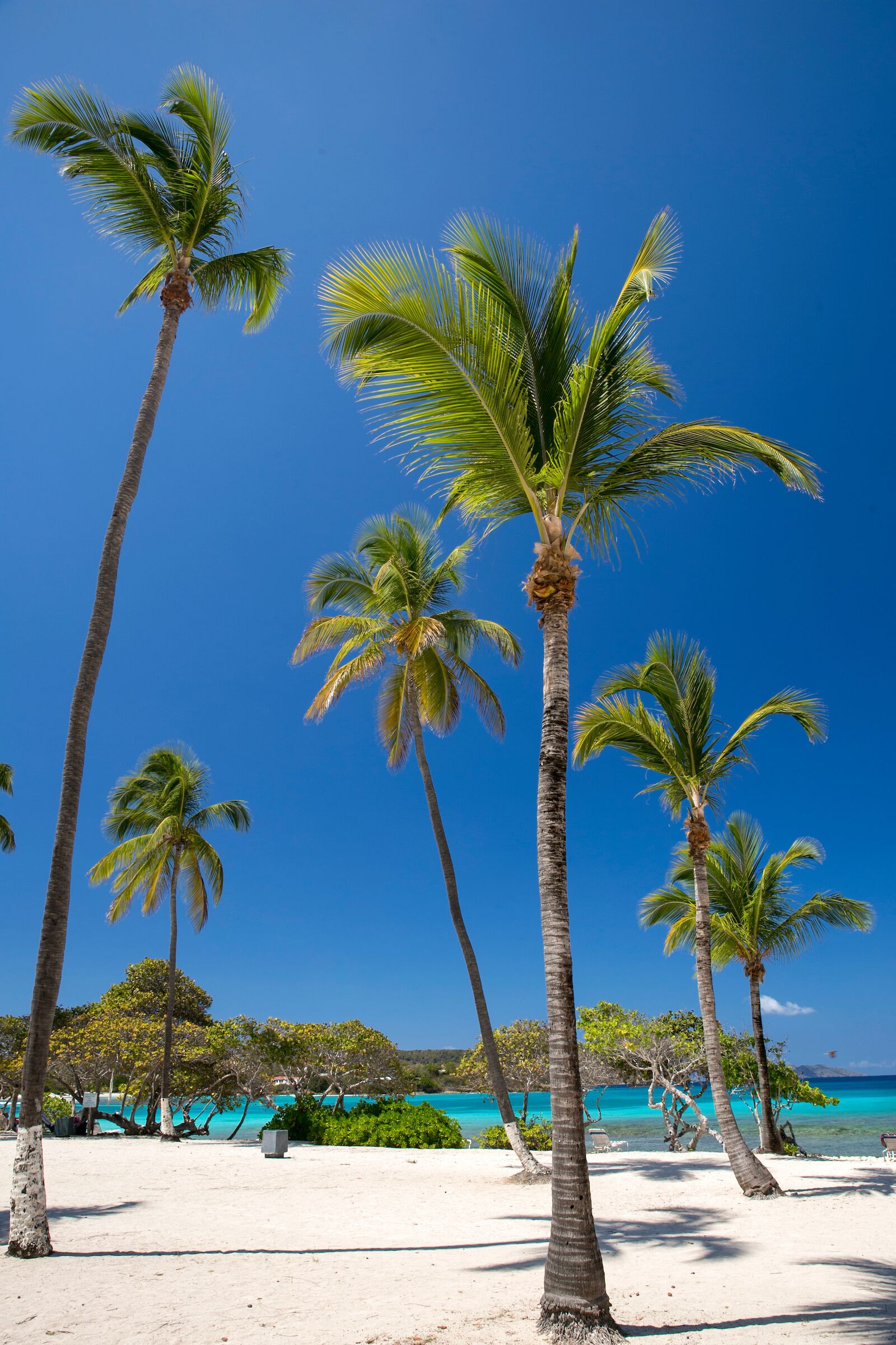 On the beach, sun loungers, beach towels
