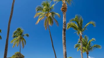 Na praia, espreguiçadeiras, toalhas de praia