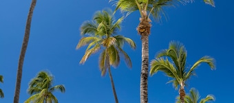  Beautiful Beachfront Villa 
Located directly on Sapphire Beach. 