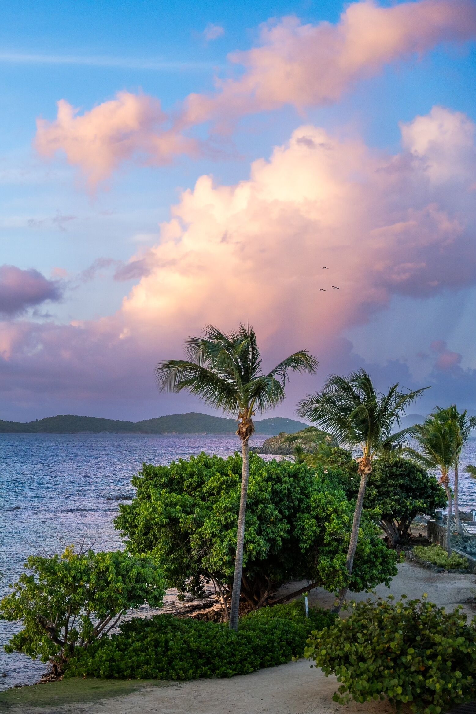 A coastal landscape with palm trees, a beach, and a view of the sea and distant hills.