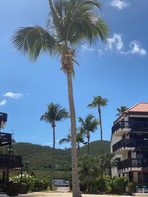 Enjoy stunning ocean views from the spacious balconies of this beachfront property.