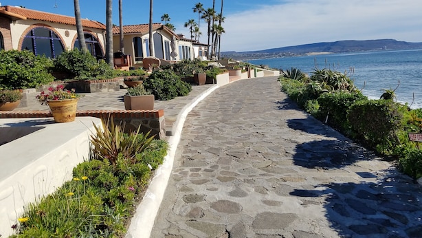 A coastal pathway lined with palm trees and potted plants, leading to a building with a tiled roof and arched windows.