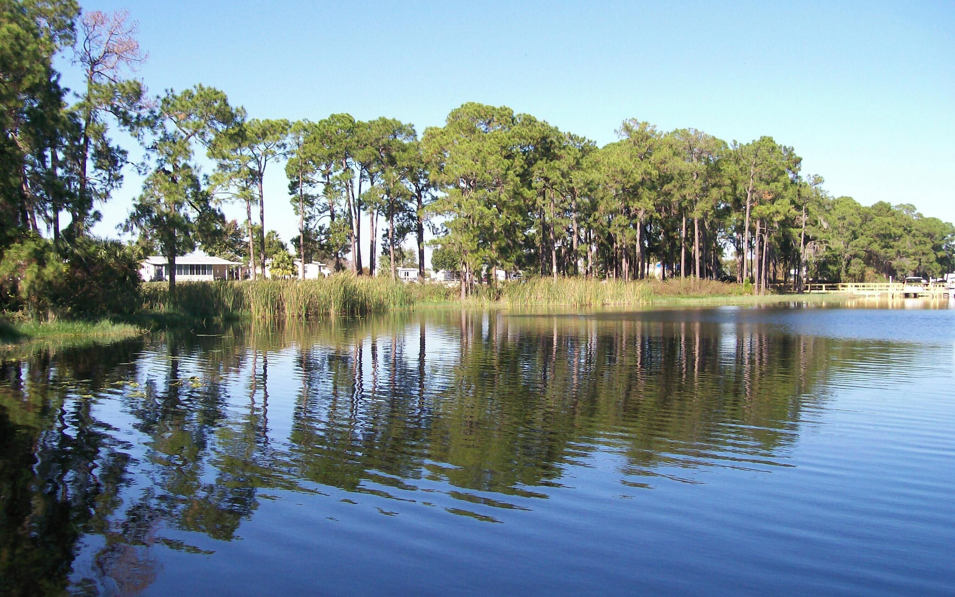A calm lake with reflections of trees and a clear sky.