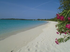 On the beach, sun-loungers, beach towels - FAMILY BEACHFRONT 1 bed 2 bath APT DIRECTLY on HOOPERS BAY    (Georgetown)