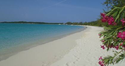 FAMILY BEACHFRONT 1 bed 2 bath APT DIRECTLY on HOOPERS BAY