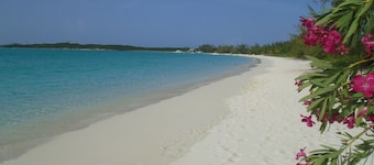 FAMILY BEACHFRONT 1 bed 2 bath APT DIRECTLY on HOOPERS BAY