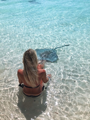 Een vrouw die in ondiep water zit en een mantaray observeert.