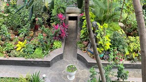 A lush garden with various plants and a central water feature. - Ultra modern bungalow in Jakkur (Bengaluru)