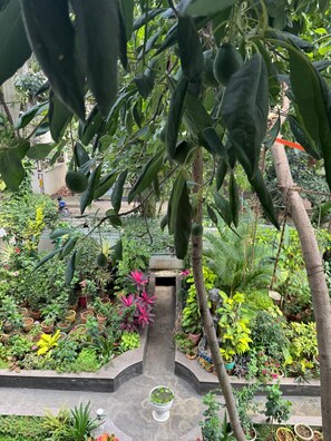 Terrain de lâhĂ©bergement