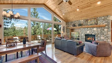 Smart TV, fireplace, books