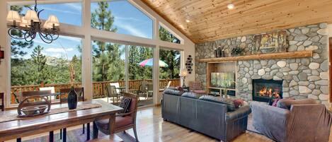 Smart TV, chimenea, libros