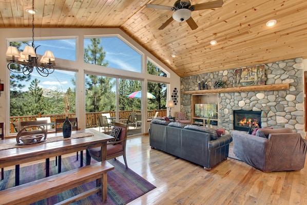 Smart TV, fireplace, books