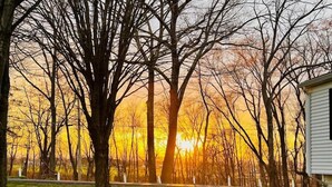 Un quartier résidentiel avec une pelouse et des arbres, au coucher du soleil.
