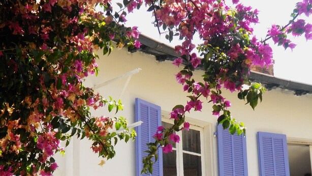 Un edificio con paredes blancas y contraventanas azules en las ventanas.