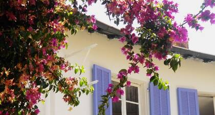 Spacious and Modern Apartment In Central Nice