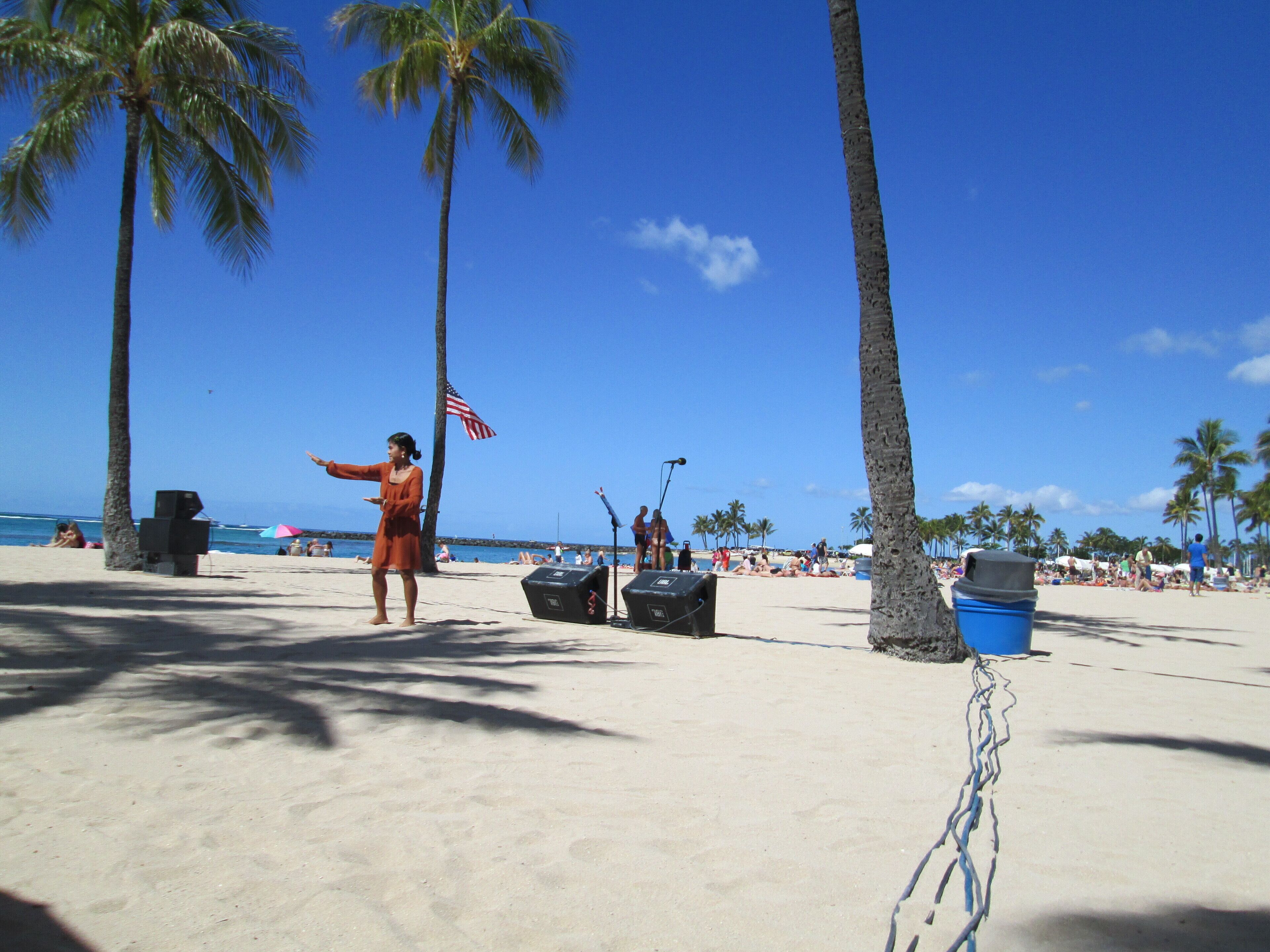 Een strand met palmbomen, een zandvlakte en een persoon met een Amerikaanse vlag.