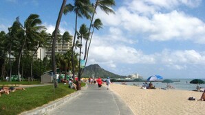 A beach walkway lined with palm trees and a view of the ocean. - Charming Studio in Waikiki - 2 Full size Beds, Free Wi-Fi (Honolulu)