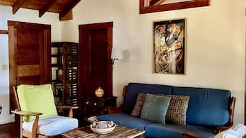 Smart TV, chimenea y libros