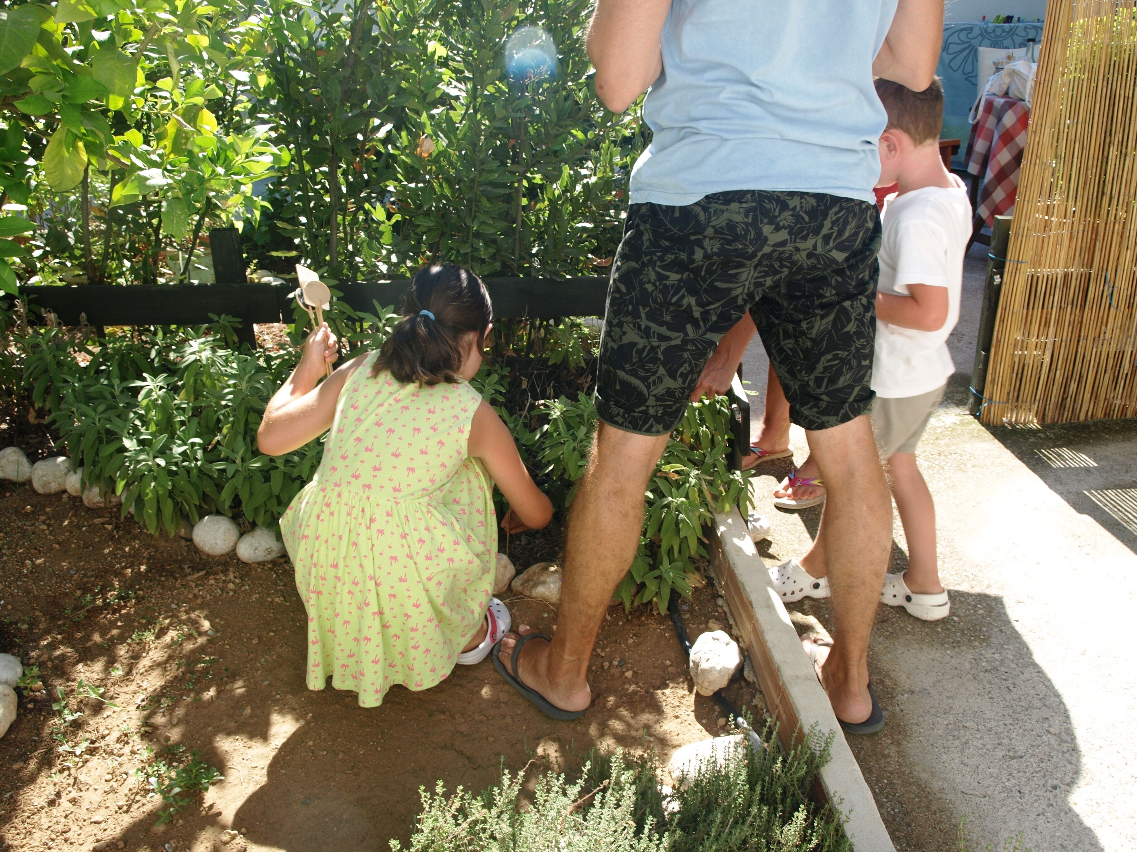 A garden area with a wooden fence, plants, and a pathway.