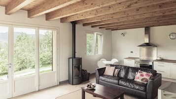TV, fireplace, DVD player, books