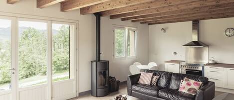 Fernseher, Kamin, DVD-Player, Bücher