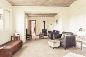 Télévision, cheminée, lecteur de DVD, livres