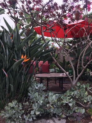 Outdoor dining - Private Enchanted Garden (Oceanside)