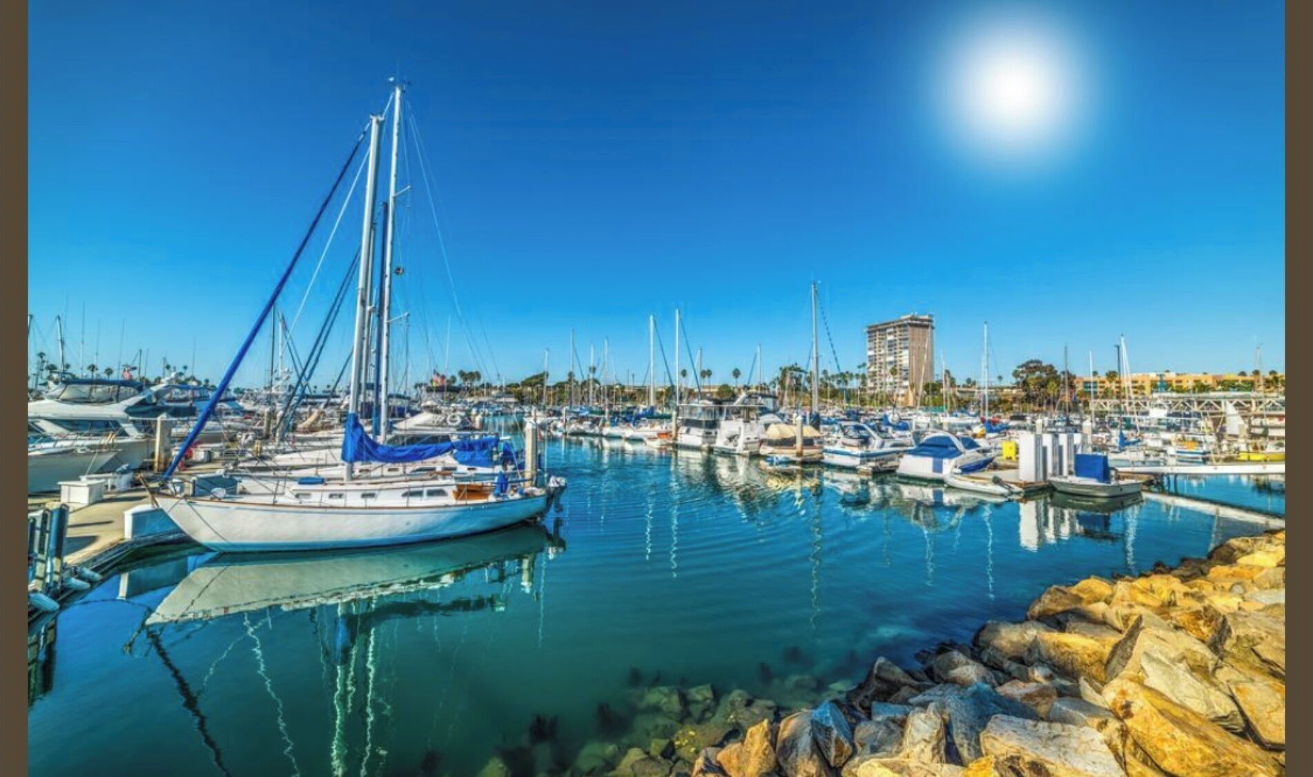 A marina with multiple boats docked, a clear sky, and a building in the background.