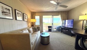 Téléviseur connecté, lecteur de DVD, livres, sélection de films