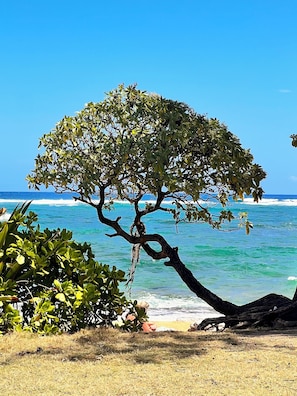 Beach - Deluxe 1 Bedroom Ocean View Condo with hot tub and pools & short stroll to beach (Kapaa)